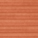 PALMA TERRA 0320 3m [HC][37,3]