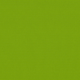 BERLIN GRASS GREEN 0934 2m [100]