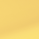 BERLIN MIMOSA 0800 2.5m [125]