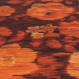 BOT2 BO ORANGE 5200 2.5m [87,5]