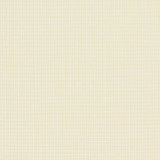 DARWIN SAFFRON 0800 2.8m [84]