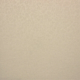 JUNGLE5 VANILLA JA-HER159912-0200 2.4m [84]