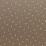 NEIL CAMEL 0300 2.40m [84]