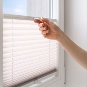 Plisuotos žaliuzės